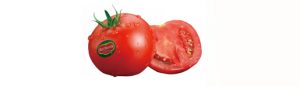 tomato1